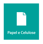 Papel e Celulose