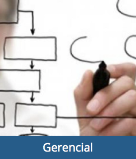 gerencial 876f7