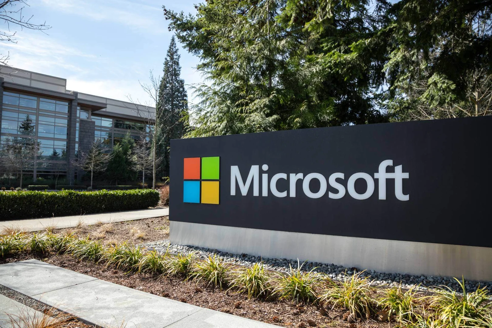 Microsoft adds Carmine Di Sibio to Board